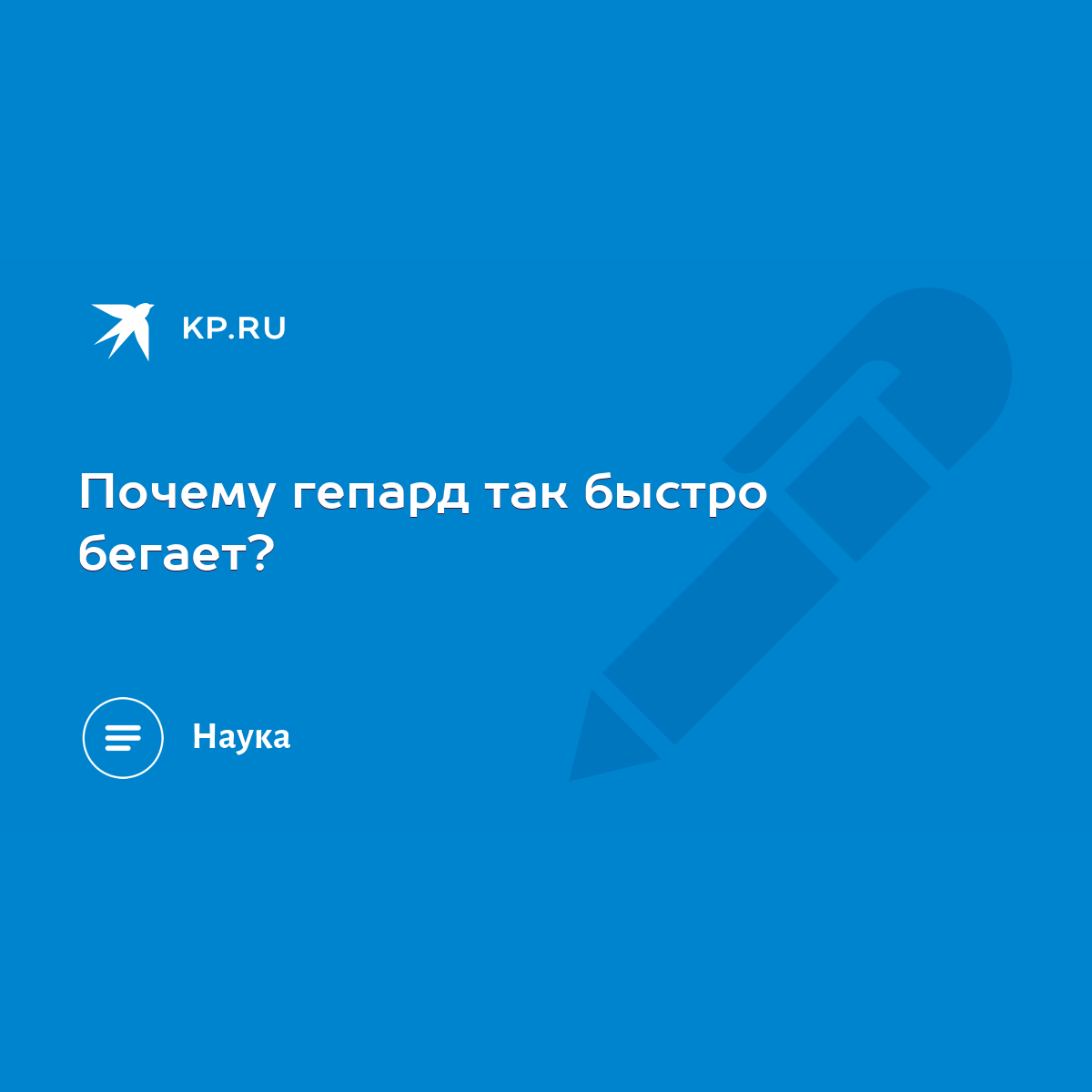 Почему гепард так быстро бегает? - KP.RU