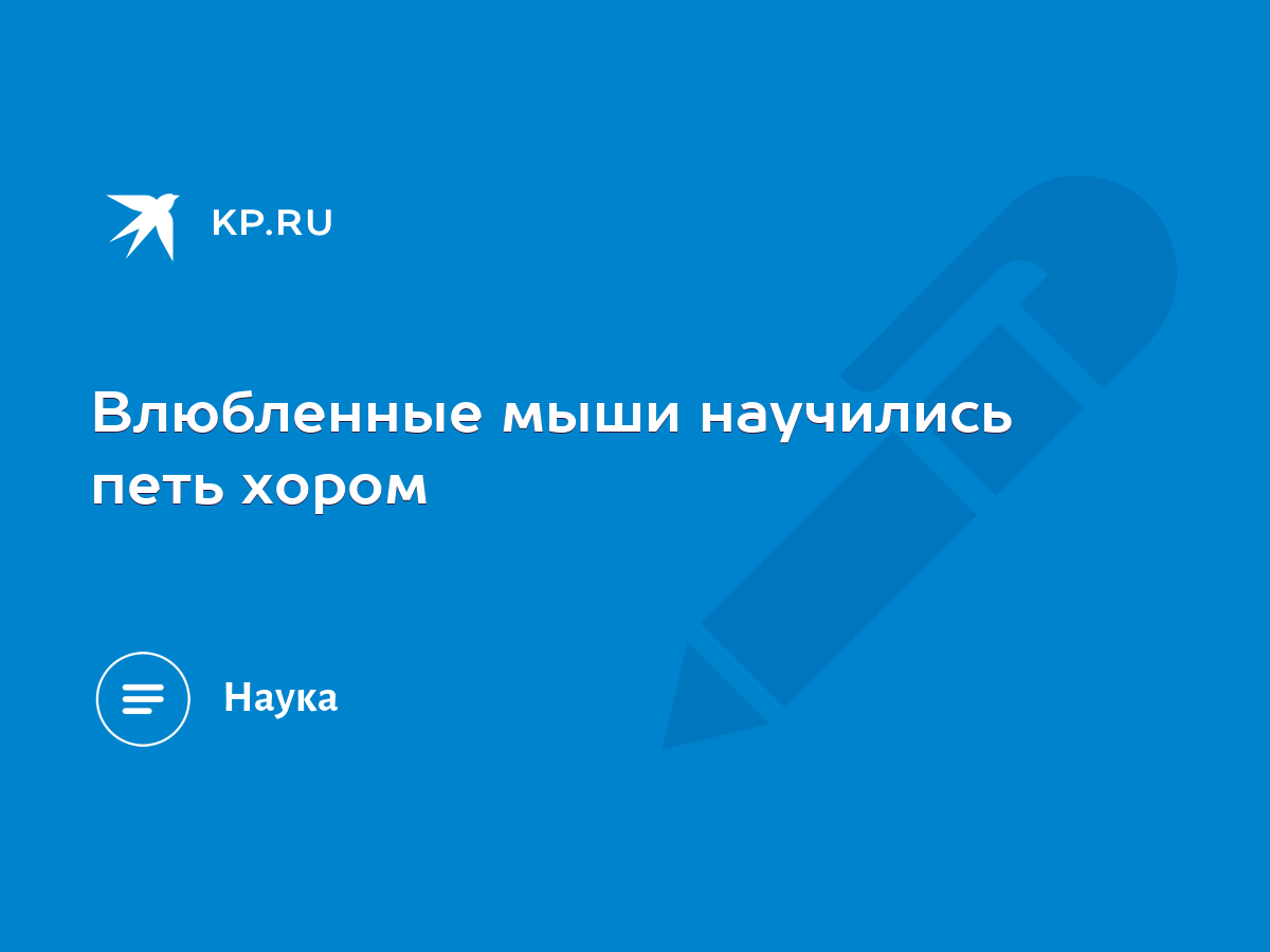 Влюбленные мыши научились петь хором - KP.RU