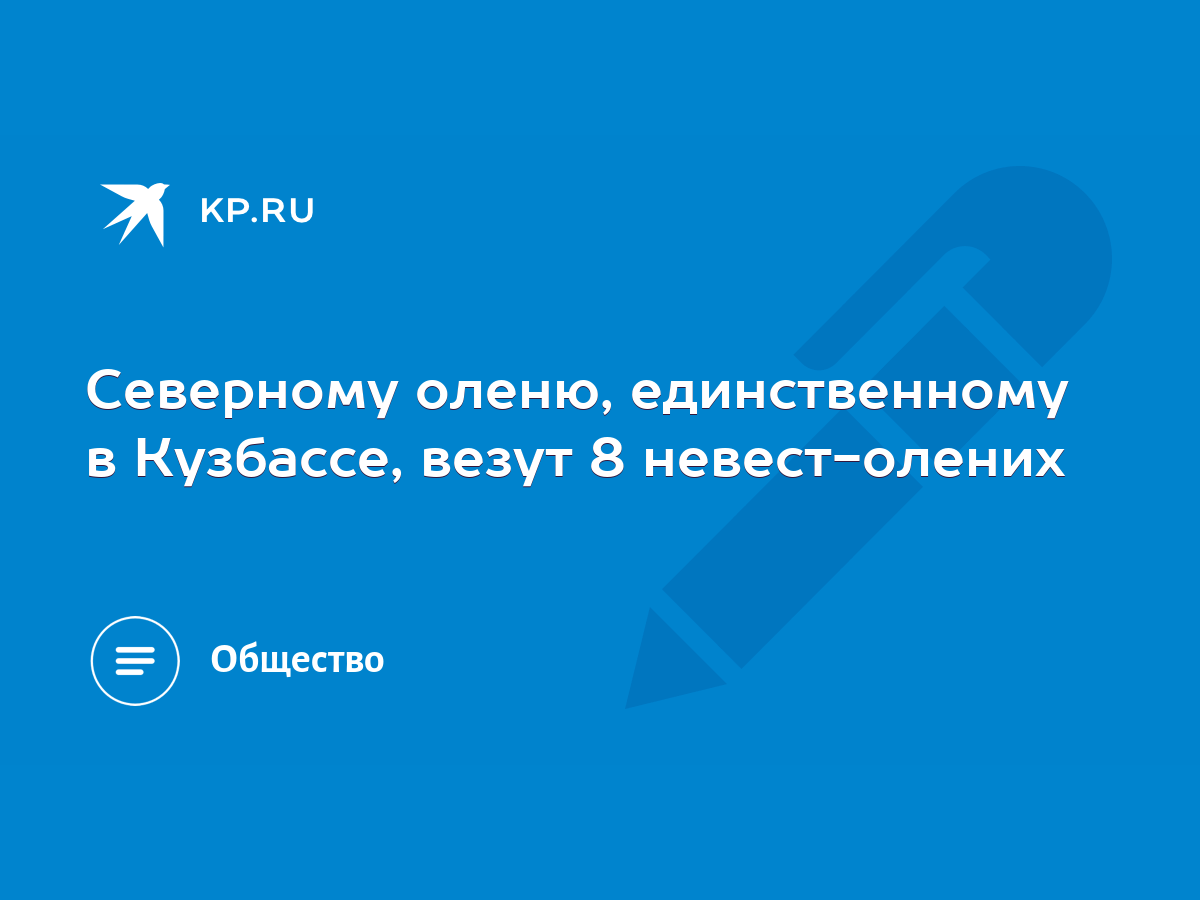 Северному оленю, единственному в Кузбассе, везут 8 невест-олених - KP.RU