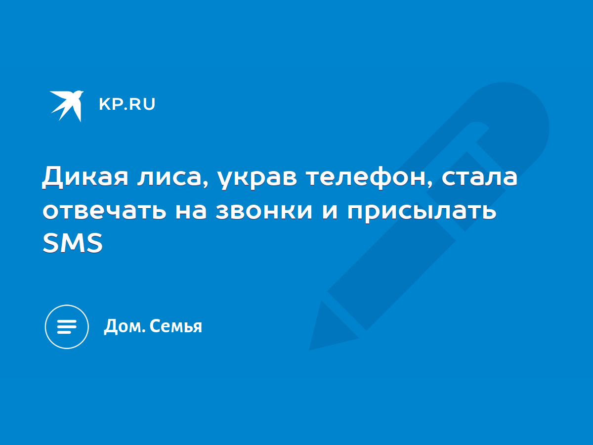 Дикая лиса, украв телефон, стала отвечать на звонки и присылать SMS - KP.RU