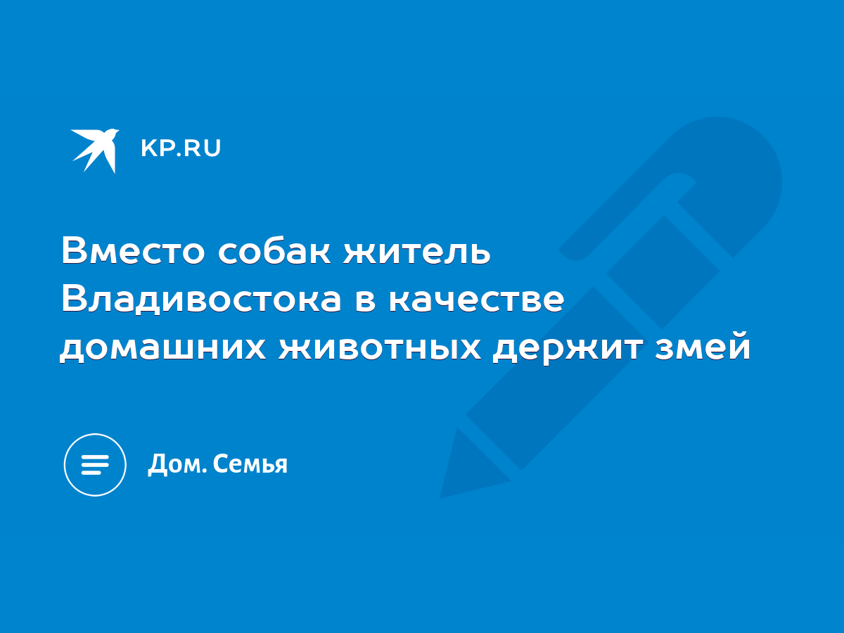 Вместо собак житель Владивостока в качестве домашних животных держит змей -  KP.RU