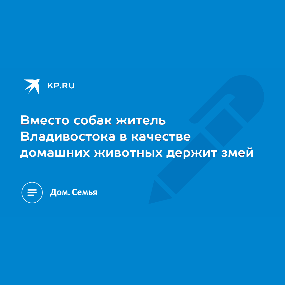 Вместо собак житель Владивостока в качестве домашних животных держит змей -  KP.RU