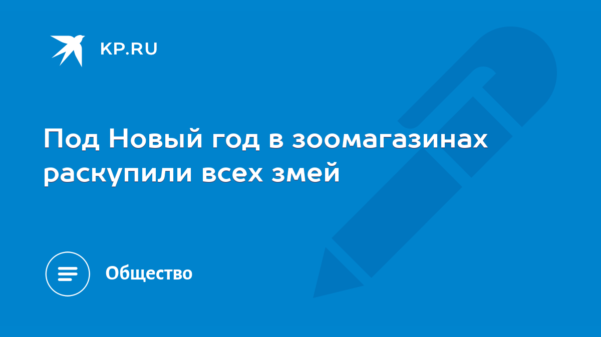 Под Новый год в зоомагазинах раскупили всех змей - KP.RU