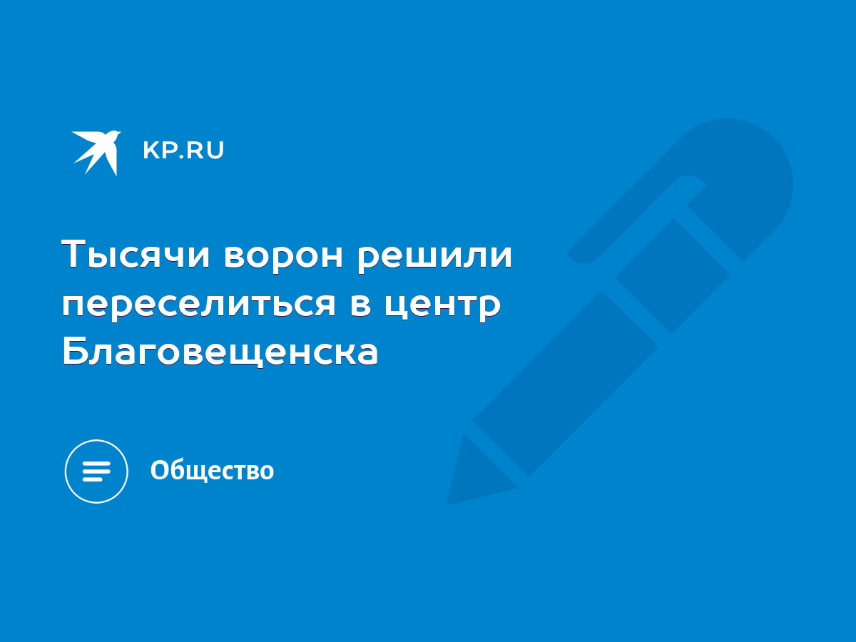 Тысячи ворон решили переселиться в центр Благовещенска - KP.RU