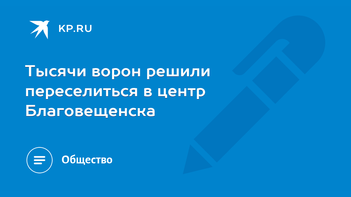 Тысячи ворон решили переселиться в центр Благовещенска - KP.RU