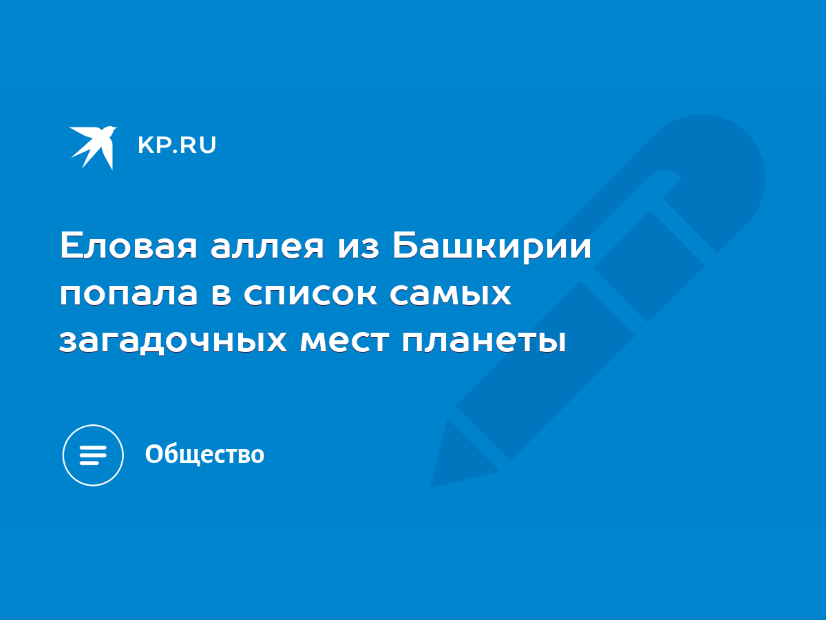 Еловая аллея из Башкирии попала в список самых загадочных мест планеты -  KP.RU