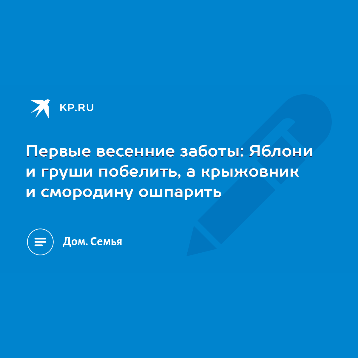 Первые весенние заботы: Яблони и груши побелить, а крыжовник и смородину  ошпарить - KP.RU