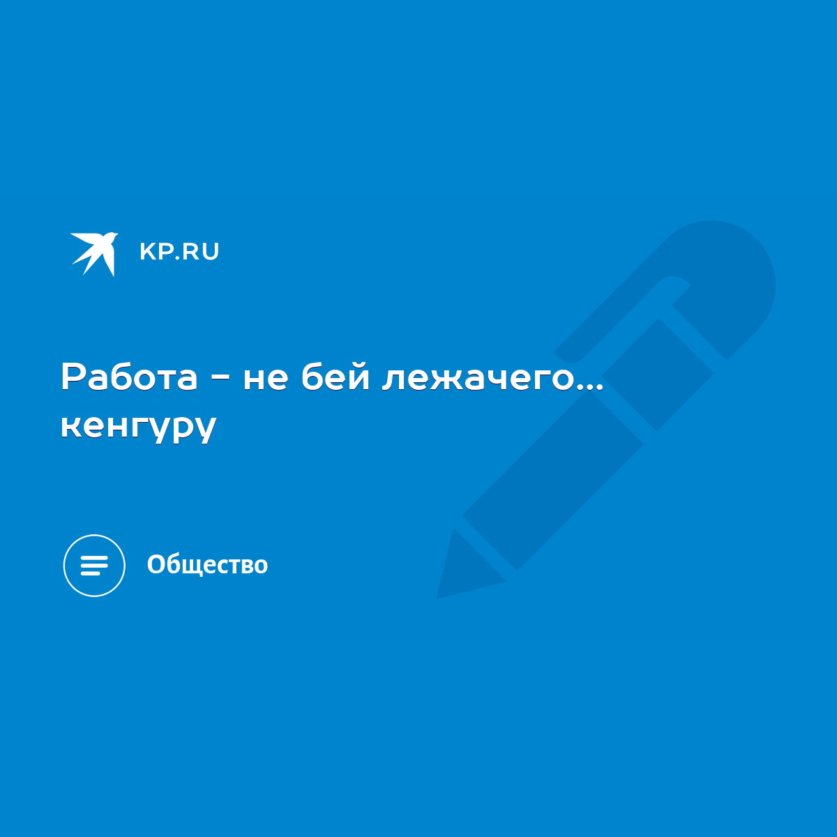 Работа - не бей лежачего... кенгуру - KP.RU