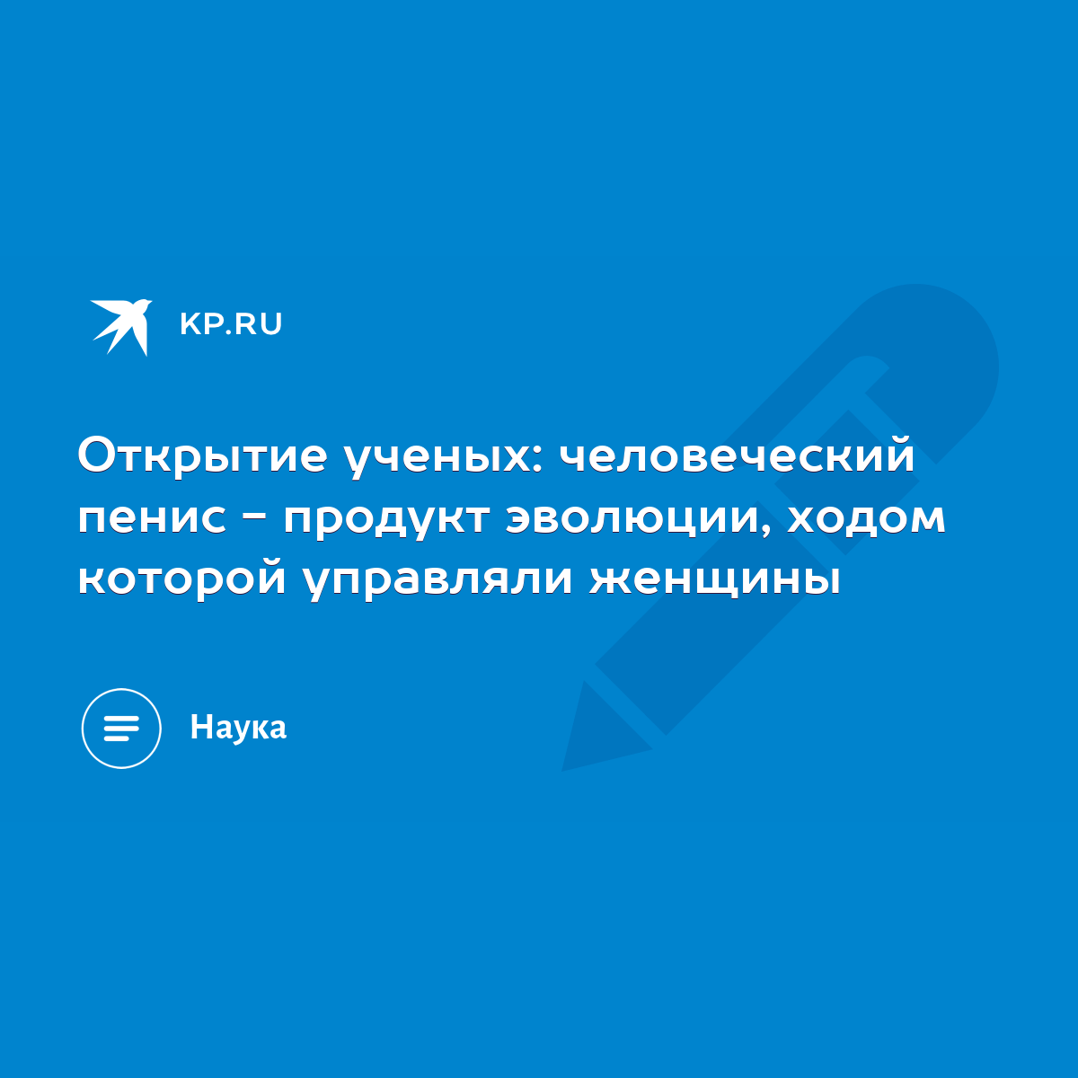 Открытие ученых: человеческий пенис - продукт эволюции, ходом которой  управляли женщины - KP.RU