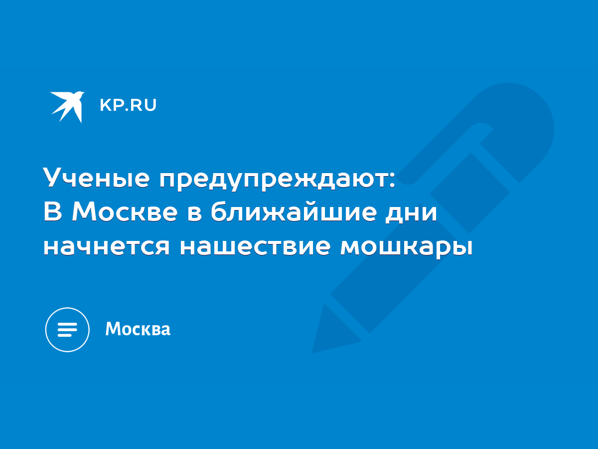 Ученые предупреждают: В Москве в ближайшие дни начнется нашествие мошкары -  KP.RU