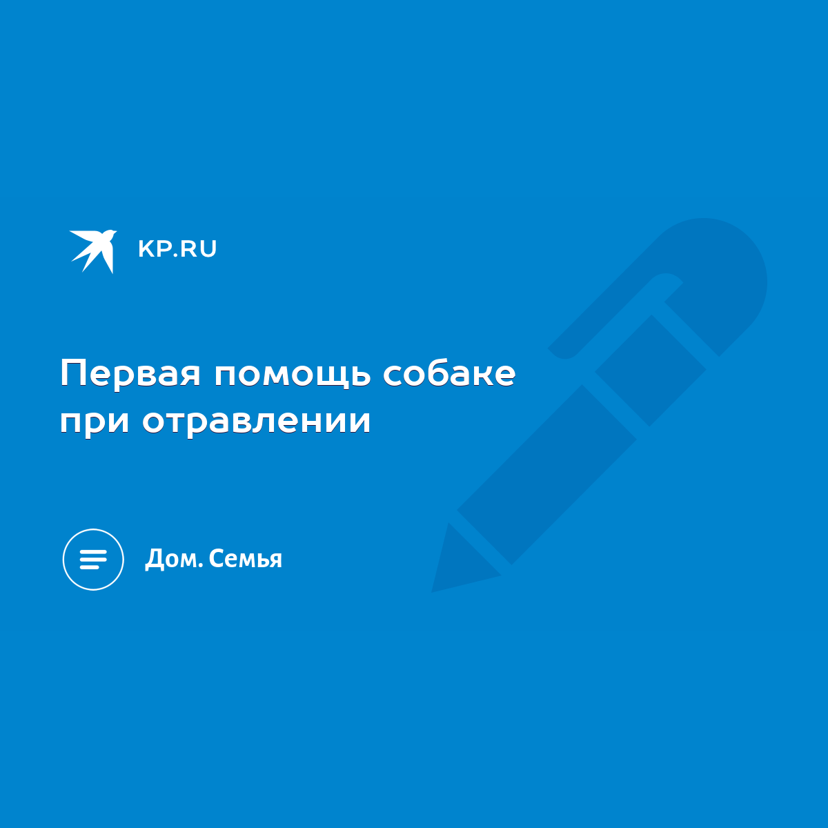 Первая помощь собаке при отравлении - KP.RU