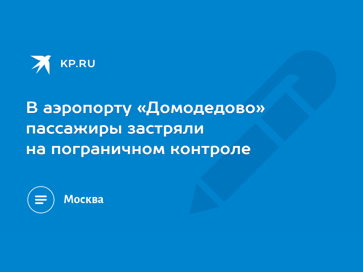 В аэропорту «Домодедово» пассажиры застряли на пограничном контроле - KP.RU