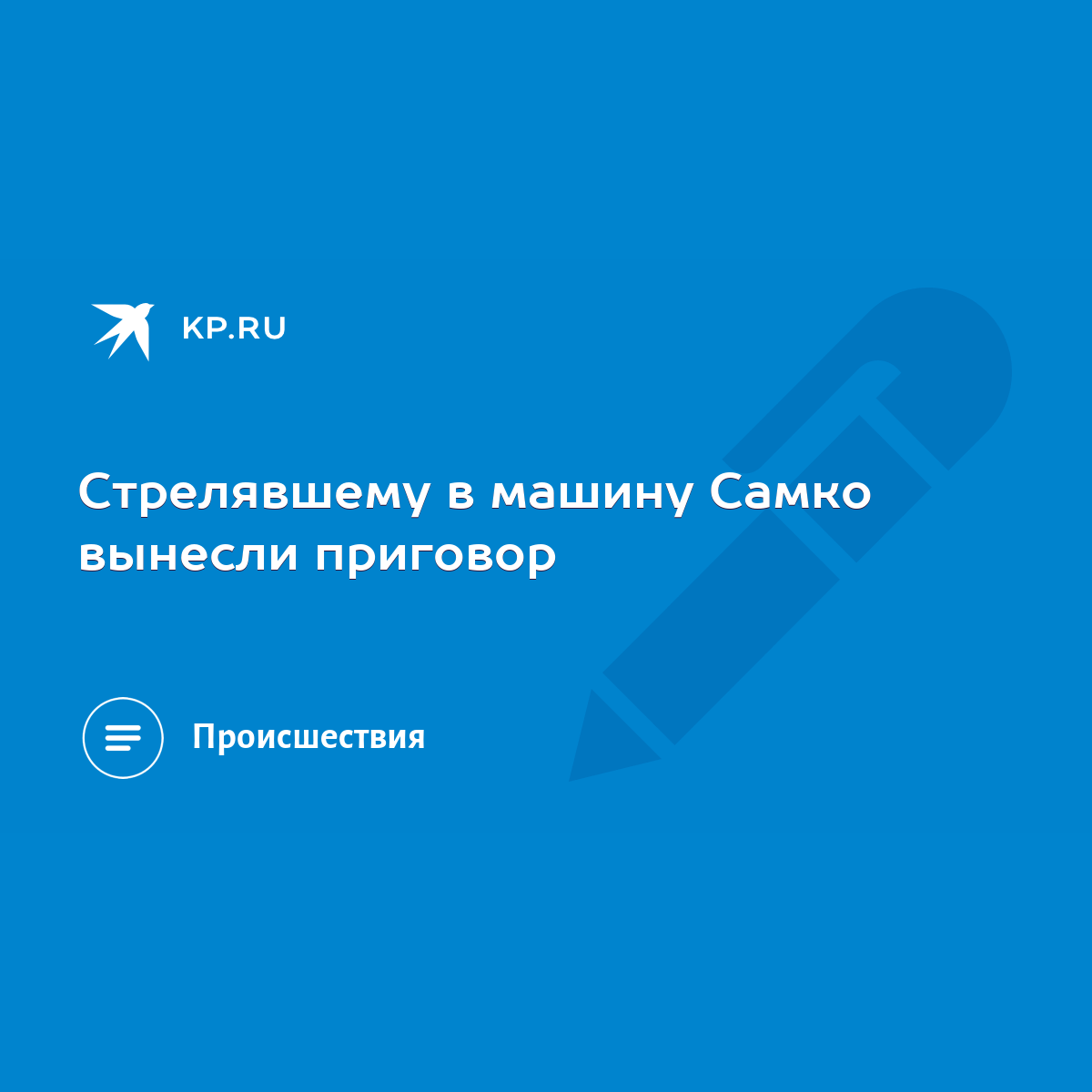 Стрелявшему в машину Самко вынесли приговор - KP.RU