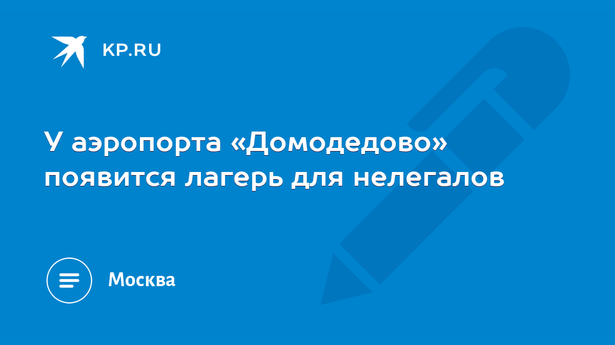 У аэропорта «Домодедово» появится лагерь для нелегалов - KP.RU