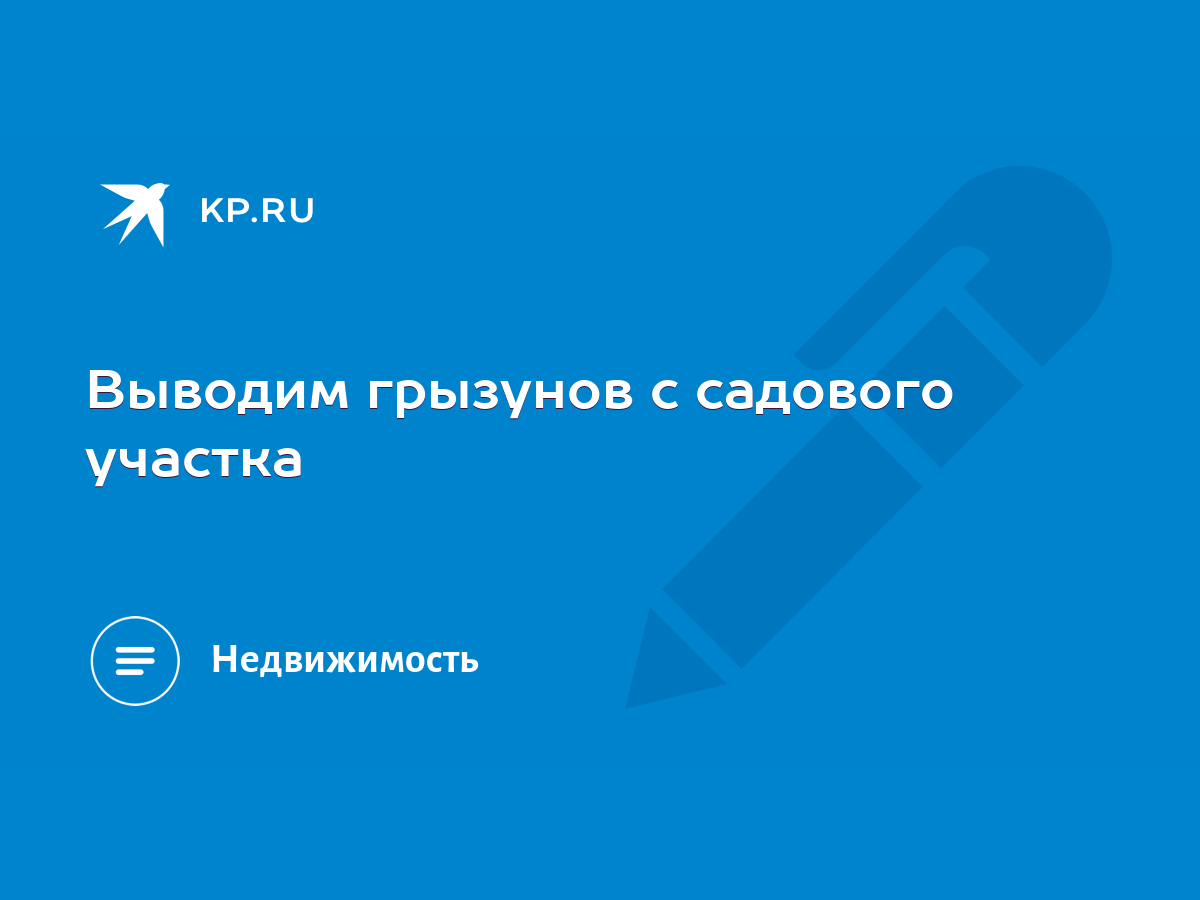 Выводим грызунов с садового участка - KP.RU