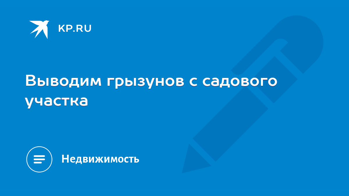 Выводим грызунов с садового участка - KP.RU