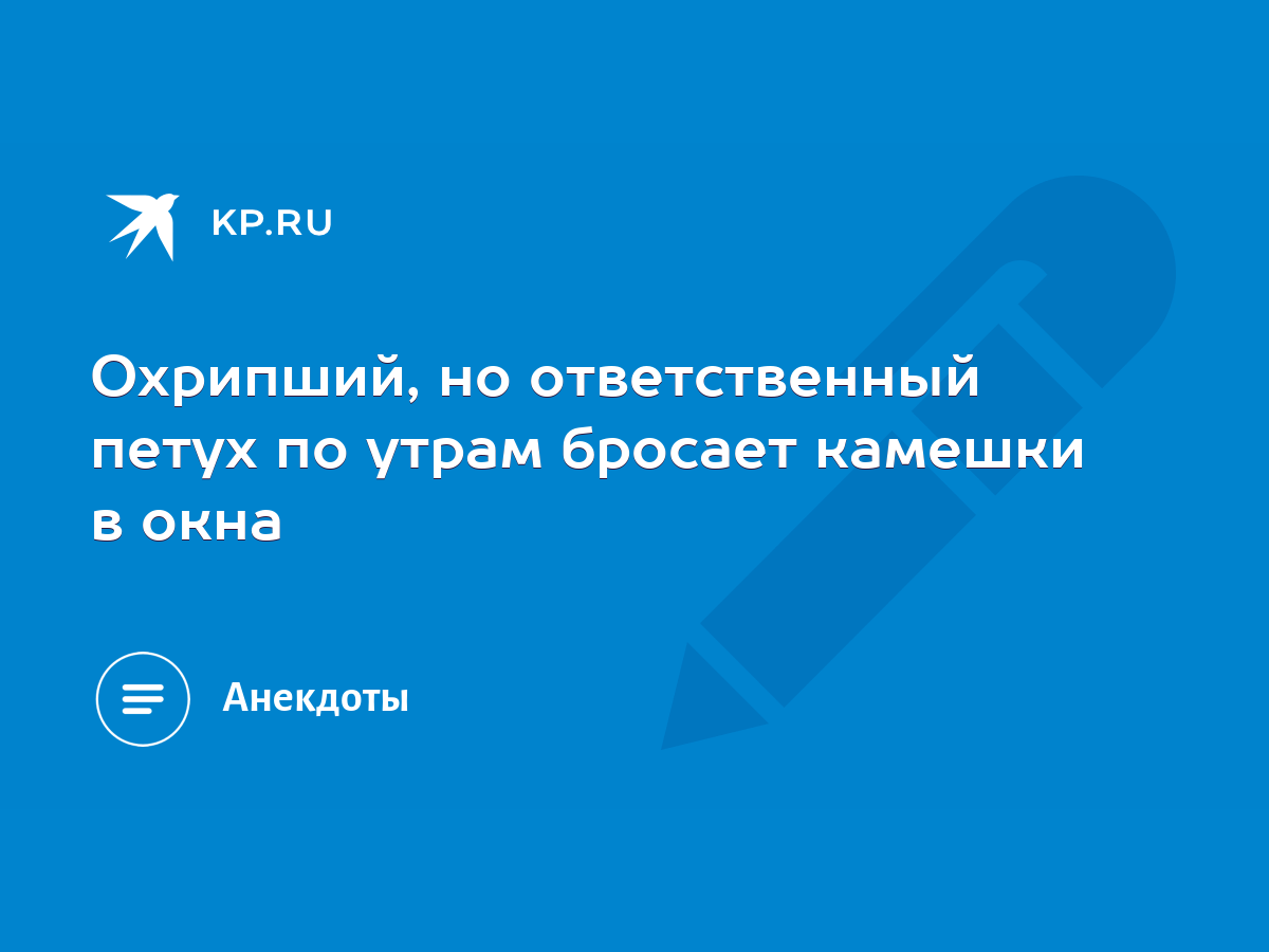 Охрипший, но ответственный петух по утрам бросает камешки в окна - KP.RU