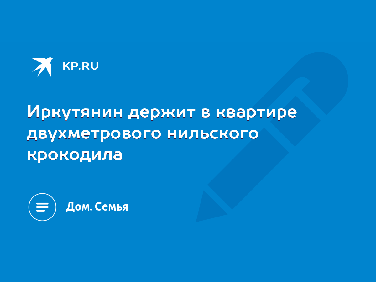 Иркутянин держит в квартире двухметрового нильского крокодила - KP.RU