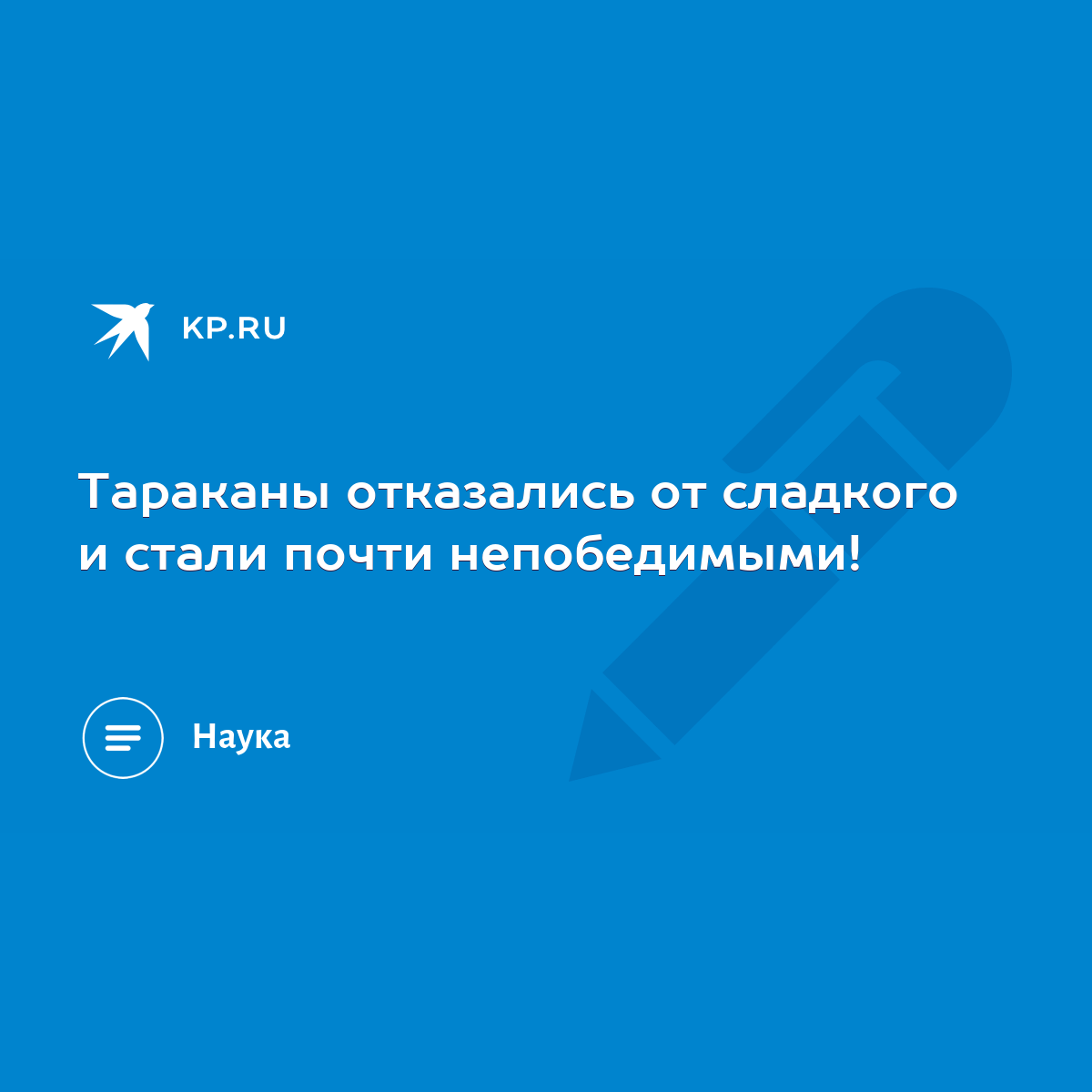 Тараканы отказались от сладкого и стали почти непобедимыми! - KP.RU