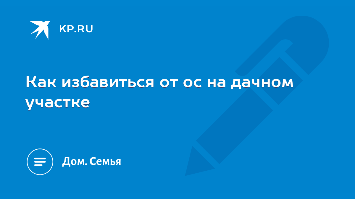 Как избавиться от ос на дачном участке - KP.RU