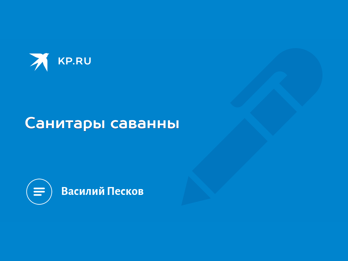 Санитары саванны - KP.RU