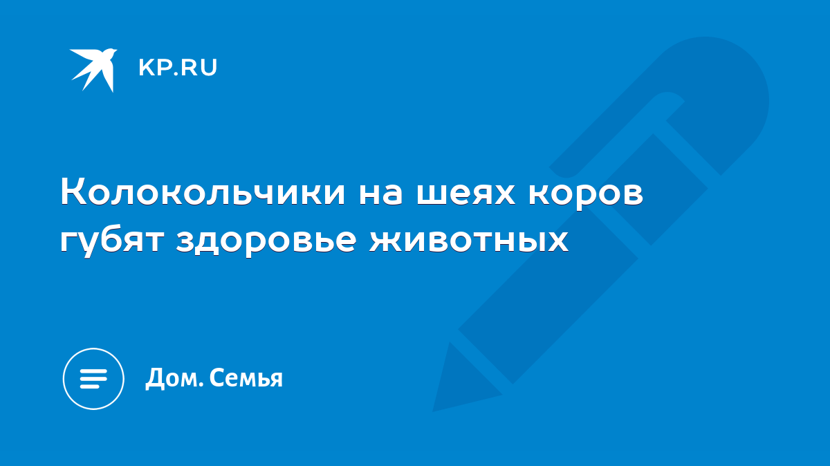 Колокольчики на шеях коров губят здоровье животных - KP.RU