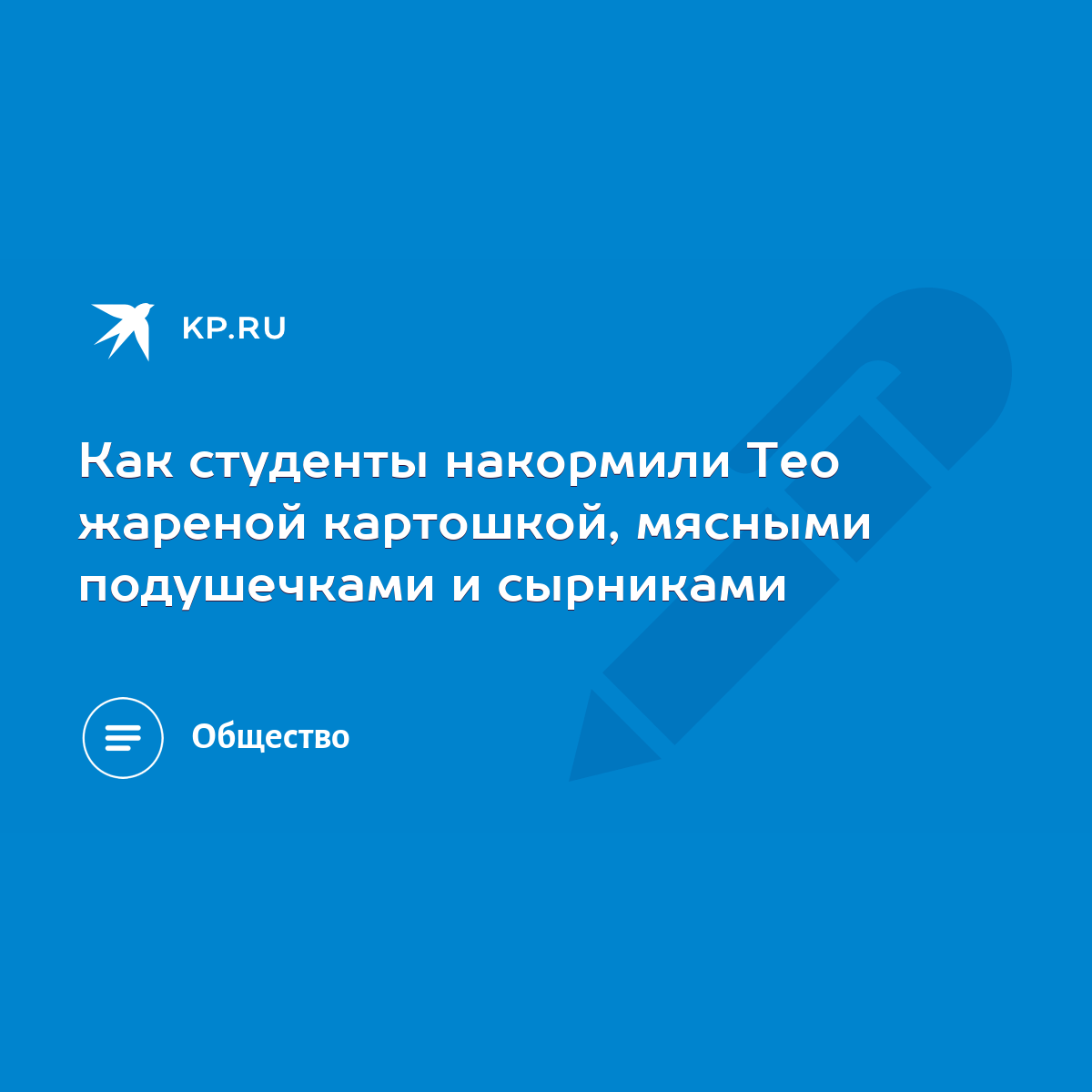 Как студенты накормили Тео жареной картошкой, мясными подушечками и  сырниками - KP.RU