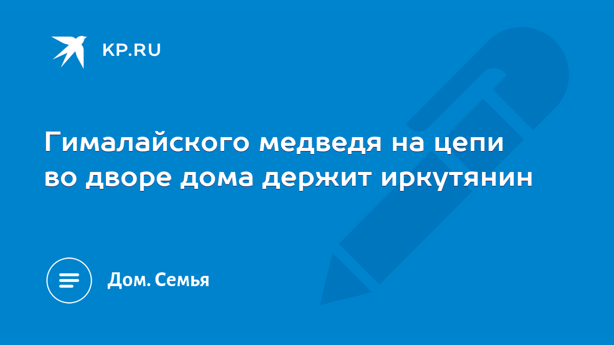 Гималайского медведя на цепи во дворе дома держит иркутянин - KP.RU