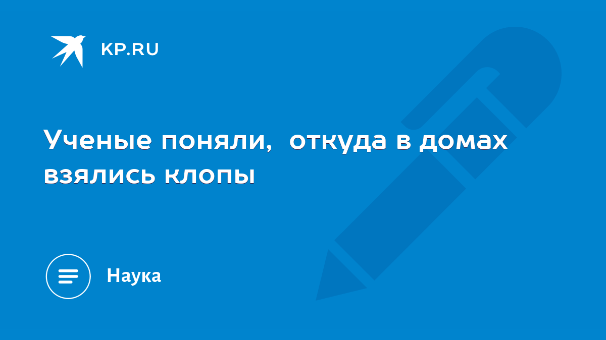 Ученые поняли, откуда в домах взялись клопы - KP.RU