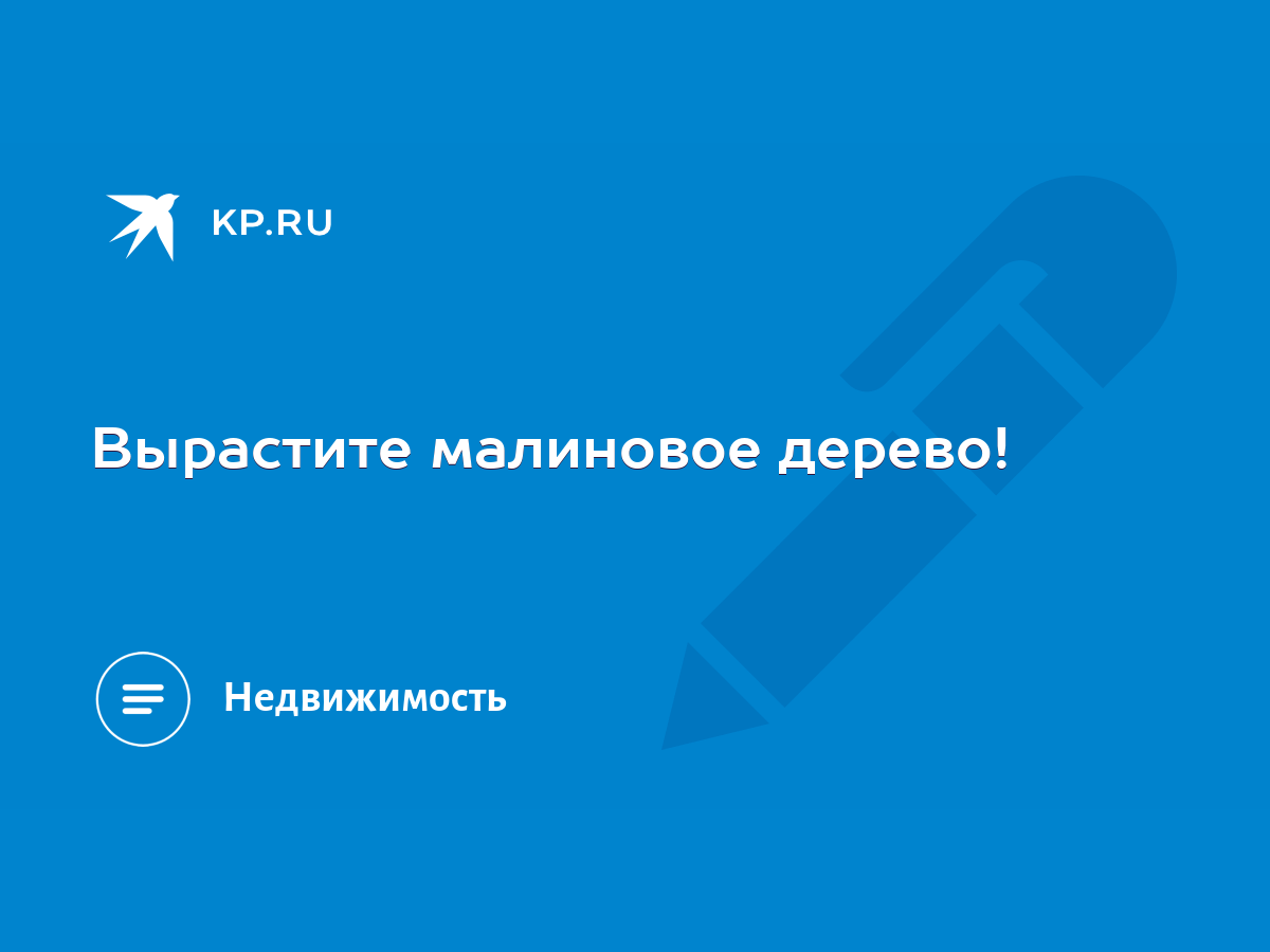 Вырастите малиновое дерево! - KP.RU