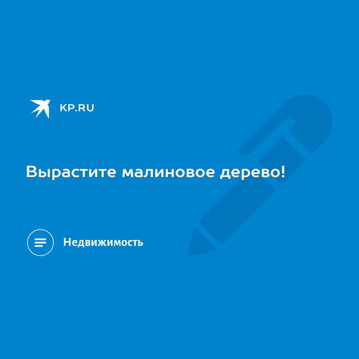 Вырастите малиновое дерево! - KP.RU