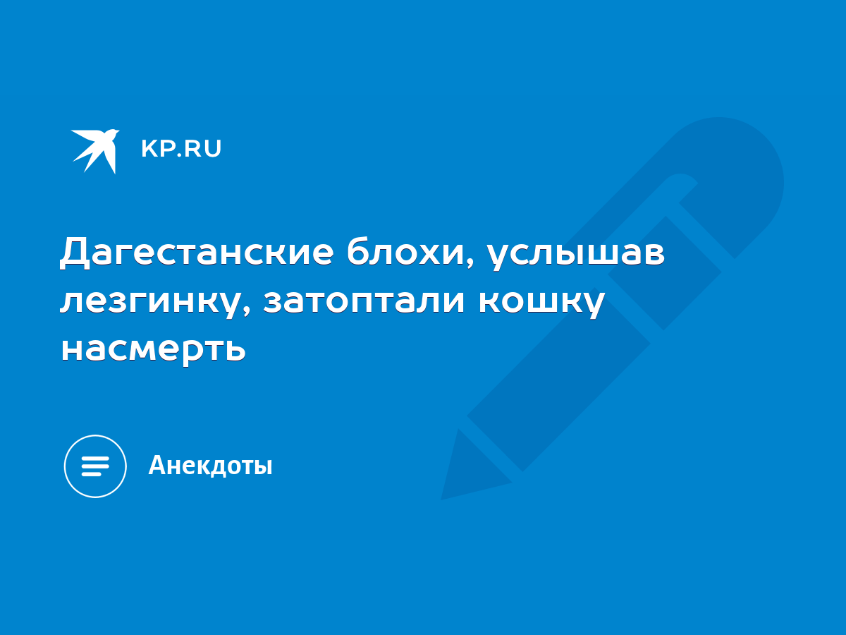 Дагестанские блохи, услышав лезгинку, затоптали кошку насмерть - KP.RU