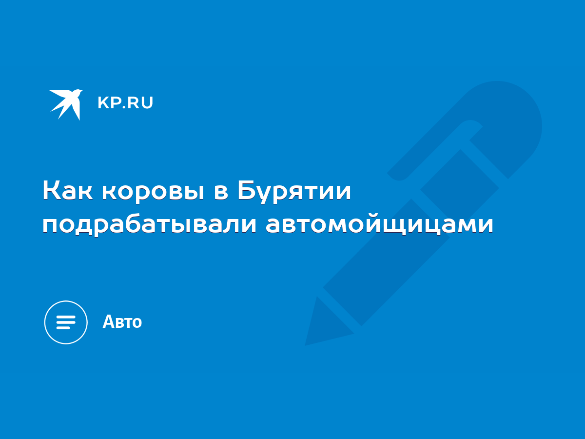 Как коровы в Бурятии подрабатывали автомойщицами - KP.RU