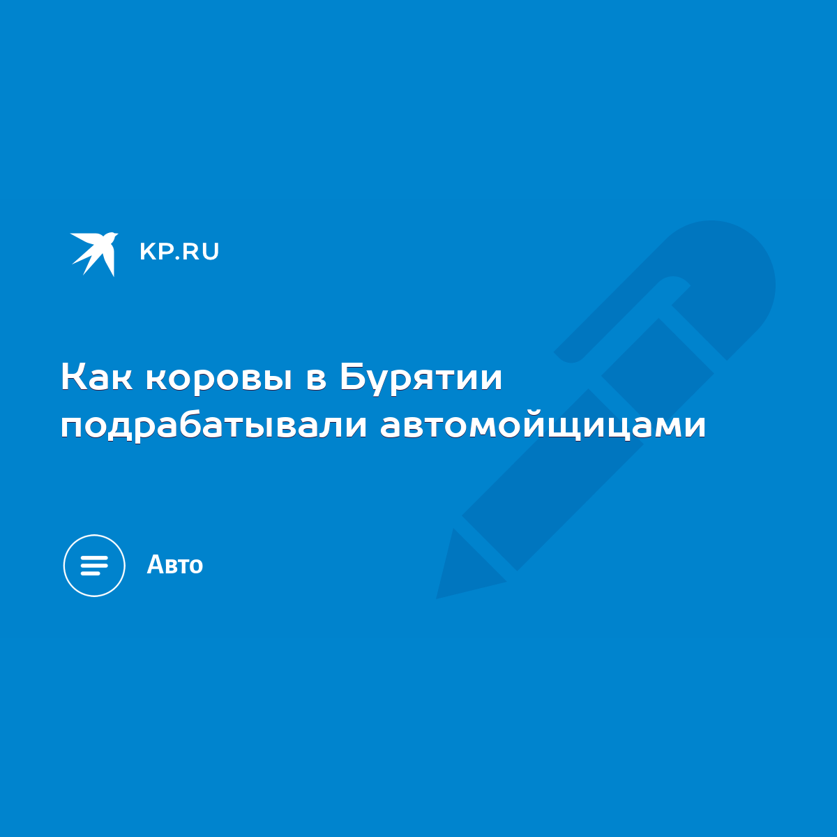 Как коровы в Бурятии подрабатывали автомойщицами - KP.RU