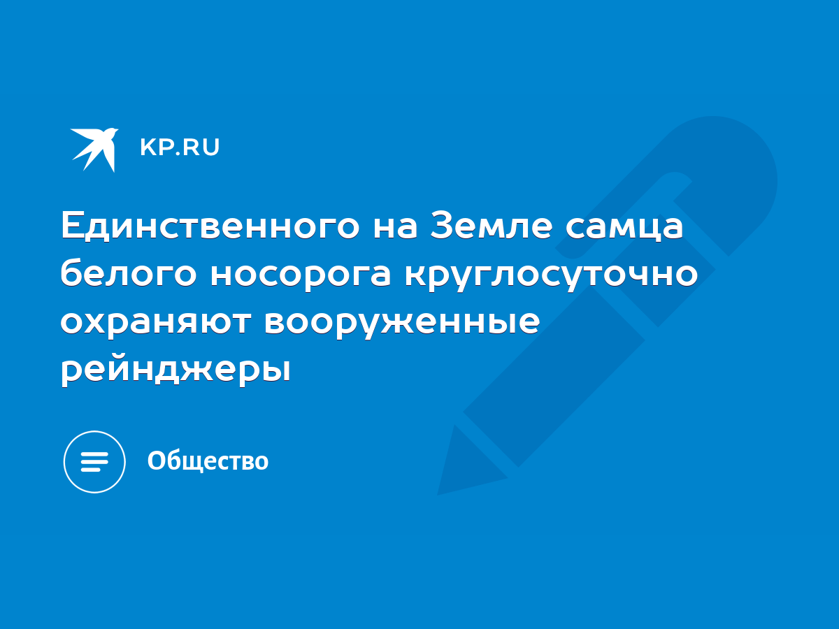 Единственного на Земле самца белого носорога круглосуточно охраняют  вооруженные рейнджеры - KP.RU