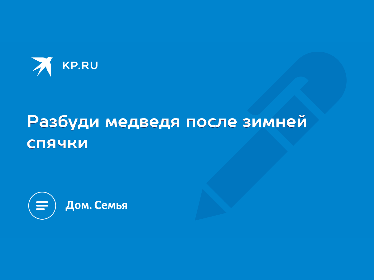 Разбуди медведя после зимней спячки - KP.RU