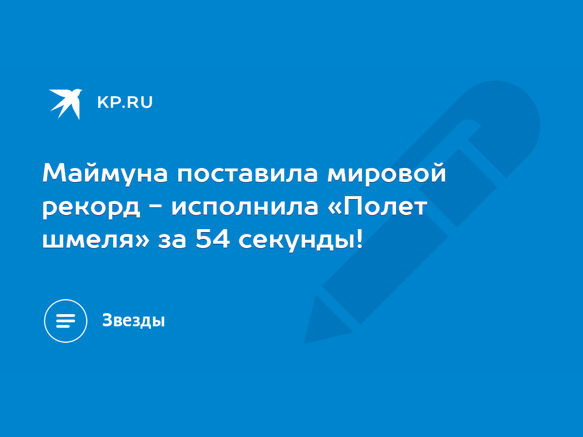 Маймуна поставила мировой рекорд - исполнила «Полет шмеля» за 54 секунды! -  KP.RU