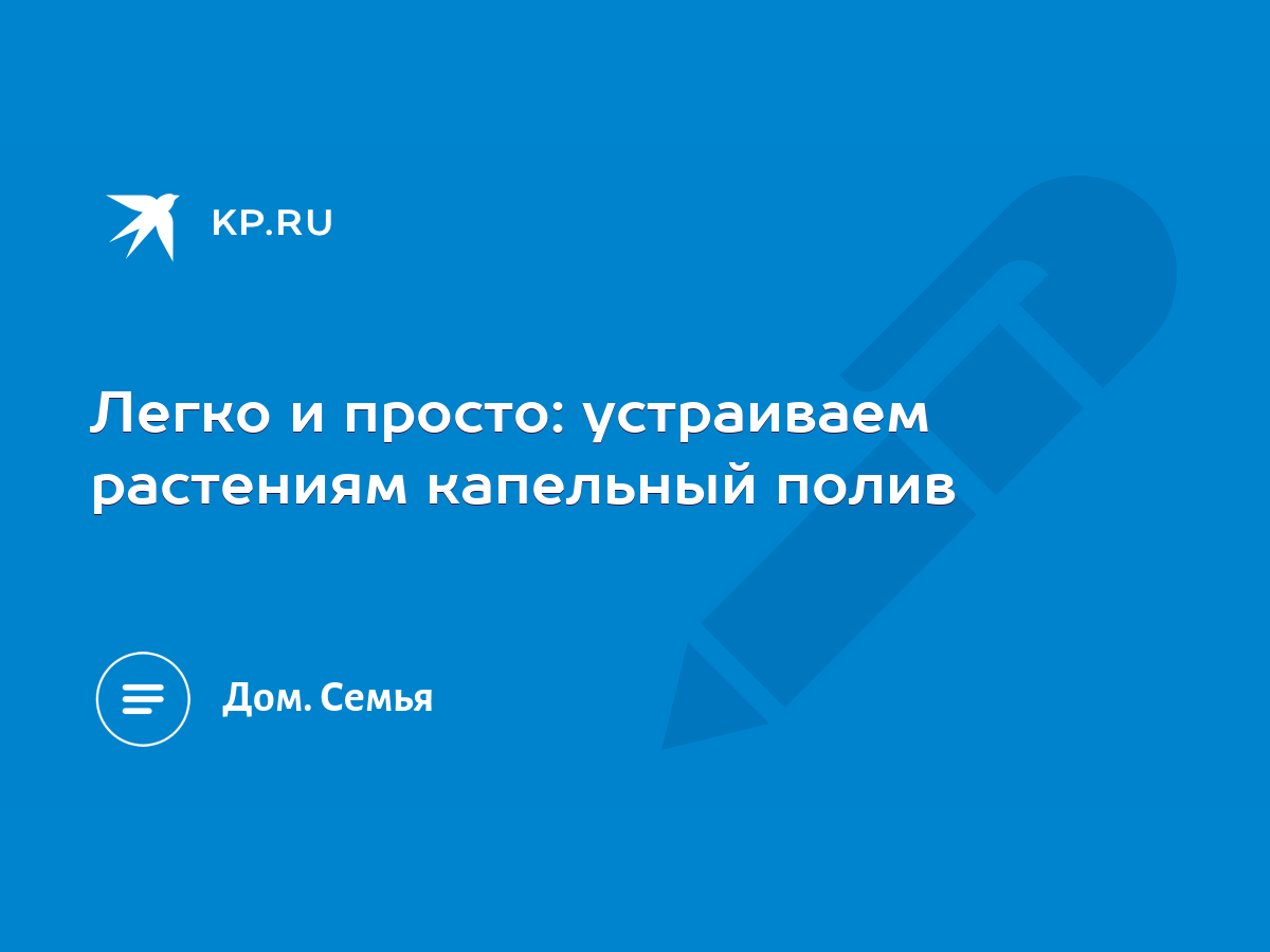 Легко и просто: устраиваем растениям капельный полив - KP.RU