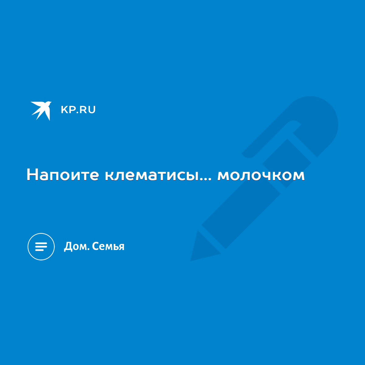 Напоите клематисы... молочком - KP.RU