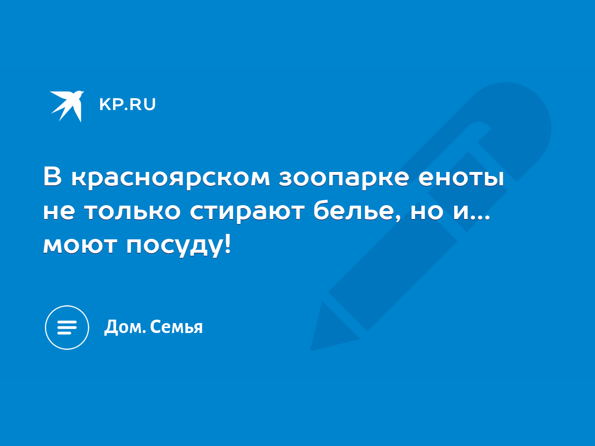 В красноярском зоопарке еноты не только стирают белье, но и… моют посуду! -  KP.RU