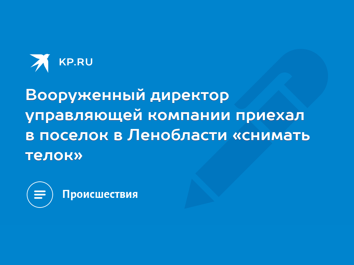 Вооруженный директор управляющей компании приехал в поселок в Ленобласти  «снимать телок» - KP.RU