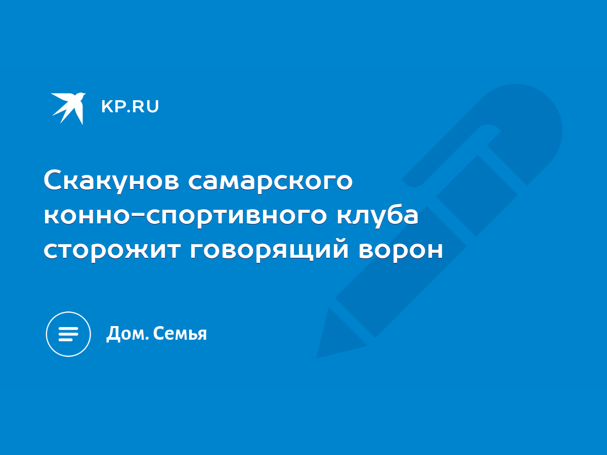 Скакунов самарского конно-спортивного клуба сторожит говорящий ворон - KP.RU