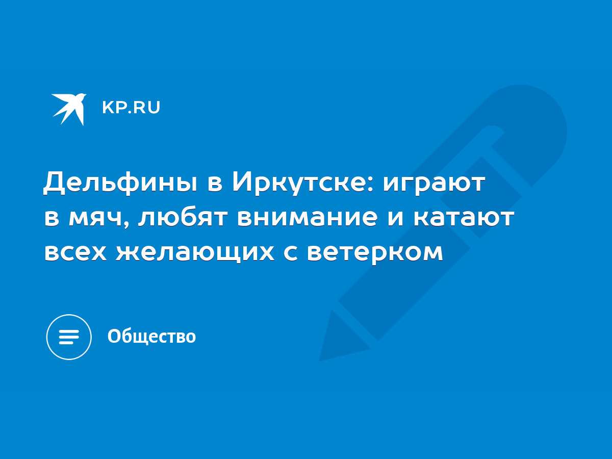 Дельфины в Иркутске: играют в мяч, любят внимание и катают всех желающих с  ветерком - KP.RU