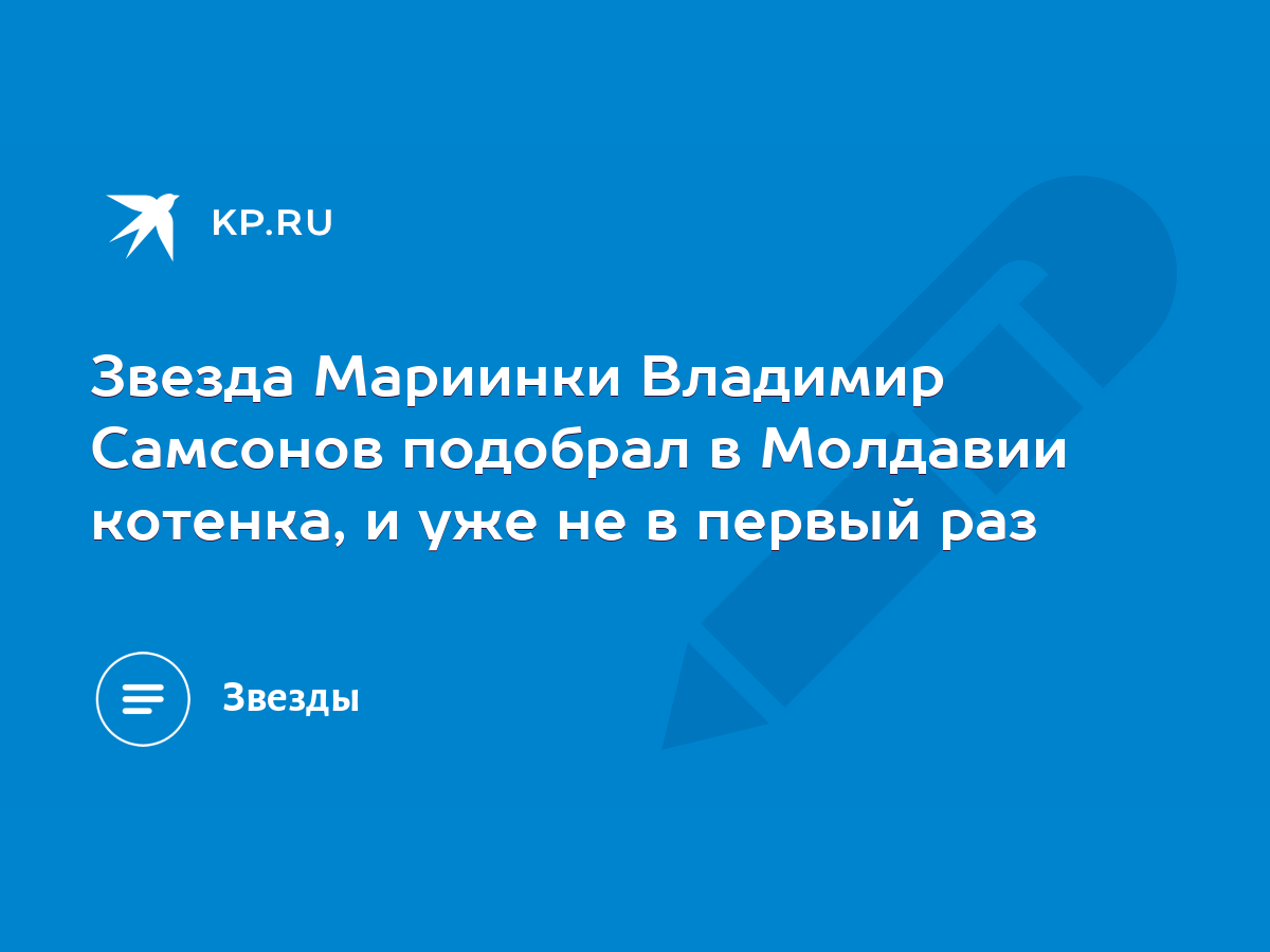 Звезда Мариинки Владимир Самсонов подобрал в Молдавии котенка, и уже не в  первый раз - KP.RU