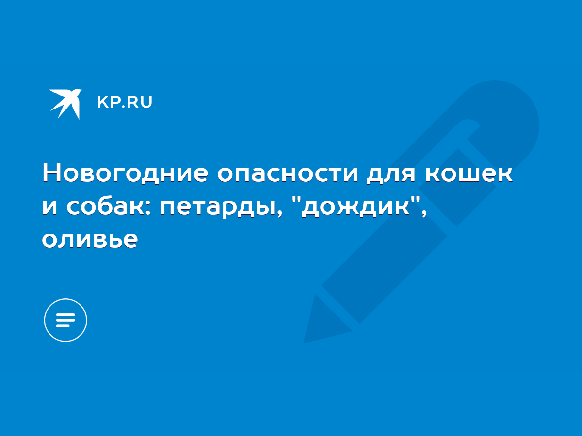 Новогодние опасности для кошек и собак: петарды, 