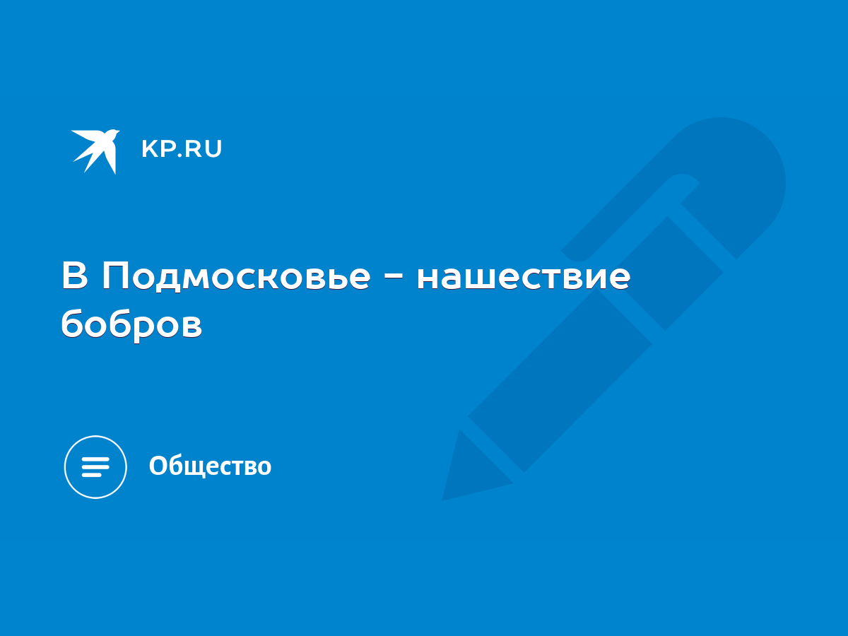 В Подмосковье - нашествие бобров - KP.RU