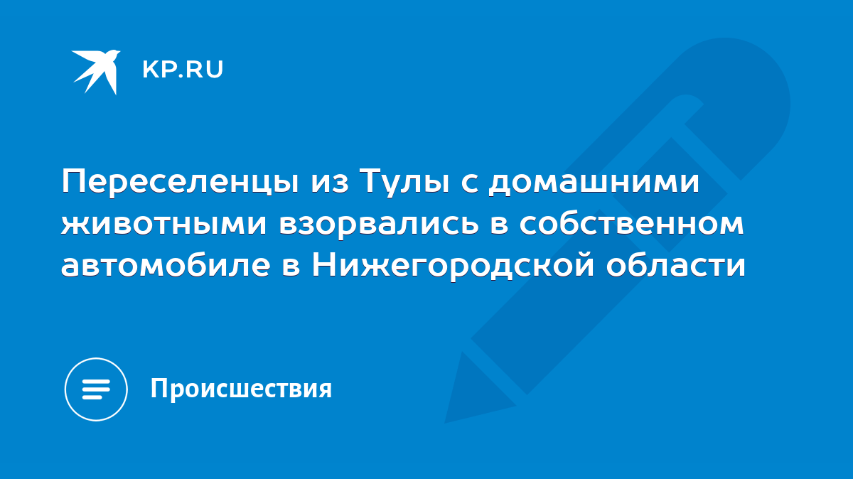 Переселенцы из Тулы с домашними животными взорвались в собственном  автомобиле в Нижегородской области - KP.RU