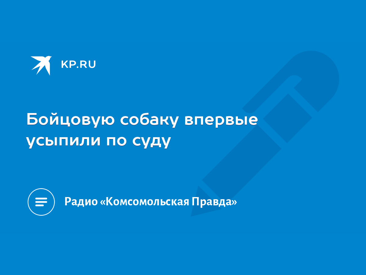 Бойцовую собаку впервые усыпили по суду - KP.RU