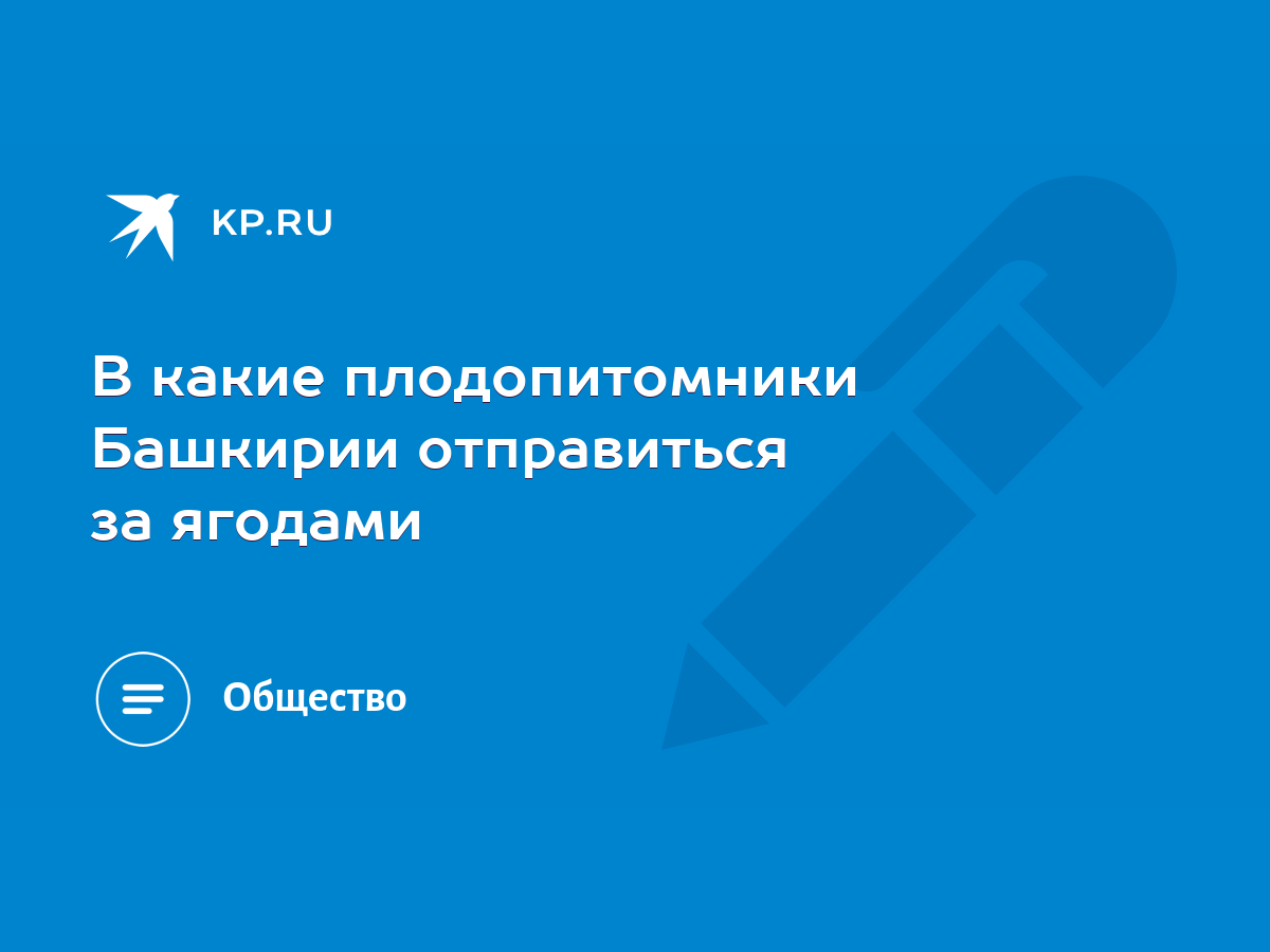 В какие плодопитомники Башкирии отправиться за ягодами - KP.RU