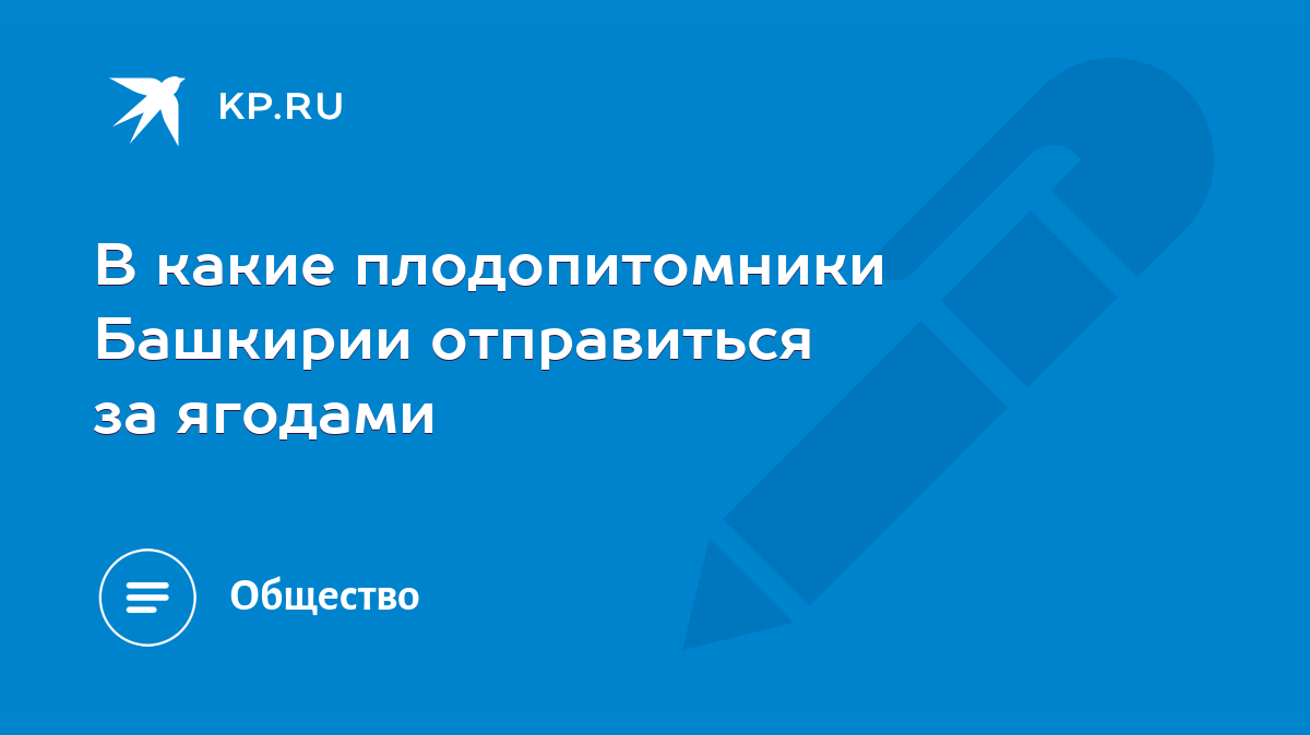 В какие плодопитомники Башкирии отправиться за ягодами - KP.RU